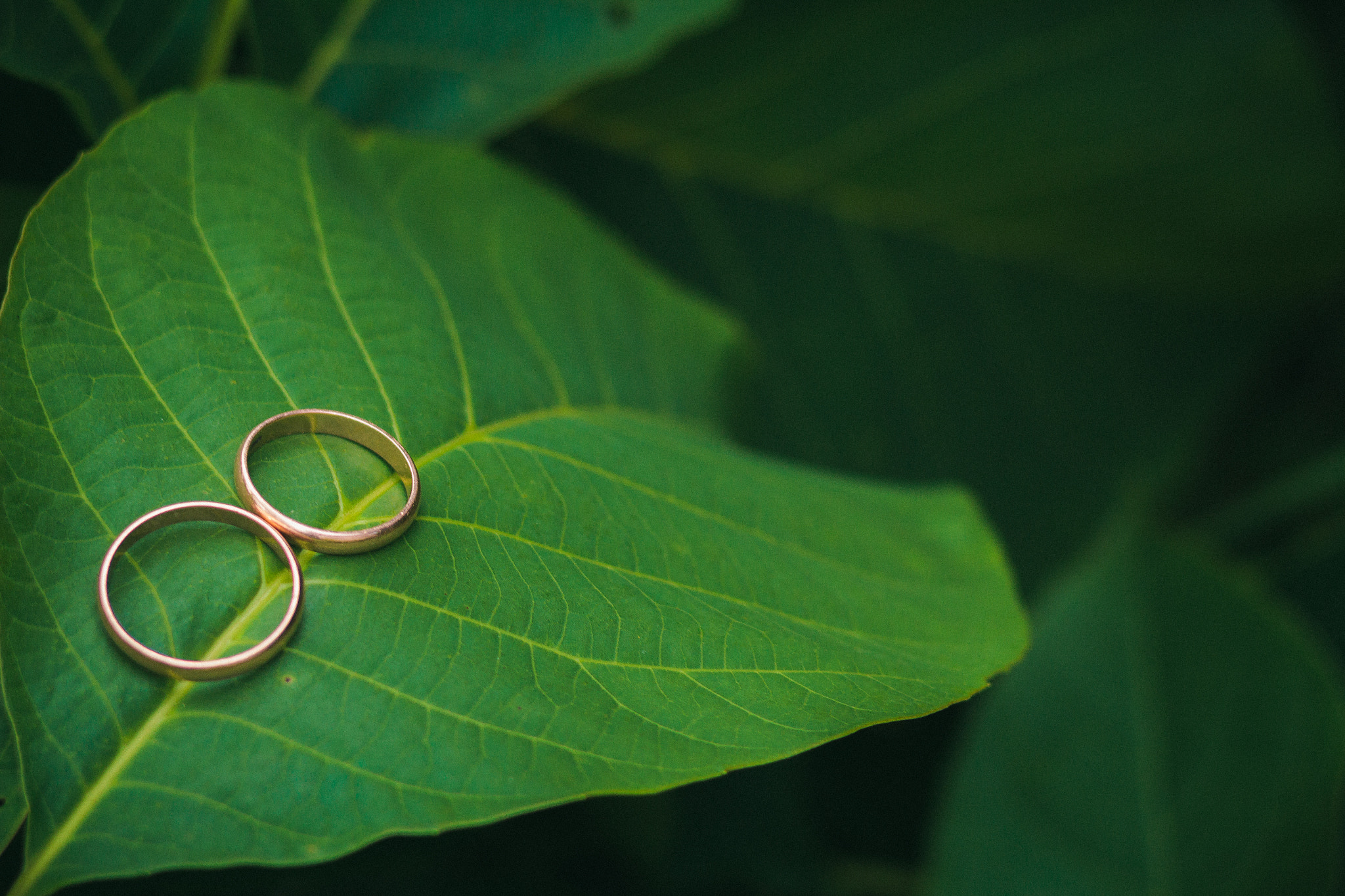 everything begins with love