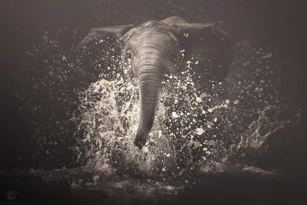 African souls: IV by Manuela Kulpa on 500px.com