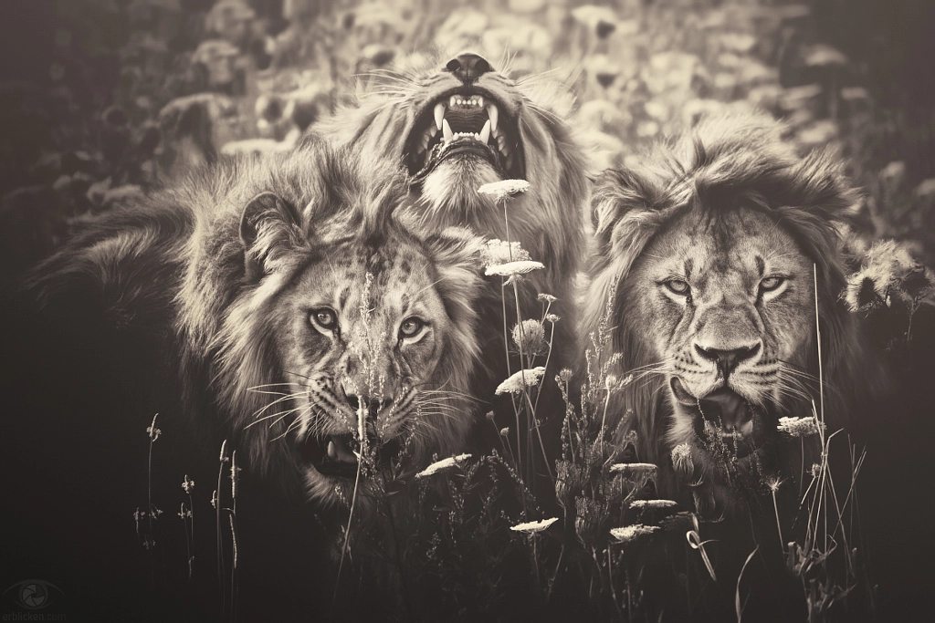 African souls: V by Manuela Kulpa on 500px.com