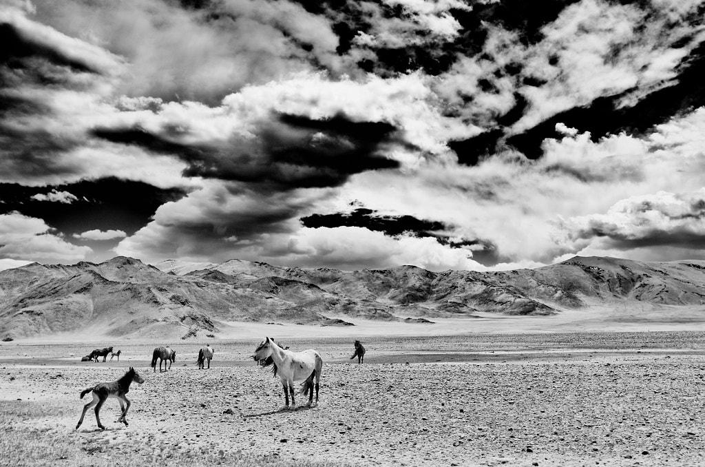 Mongolia I by Matthias Siewert on 500px.com