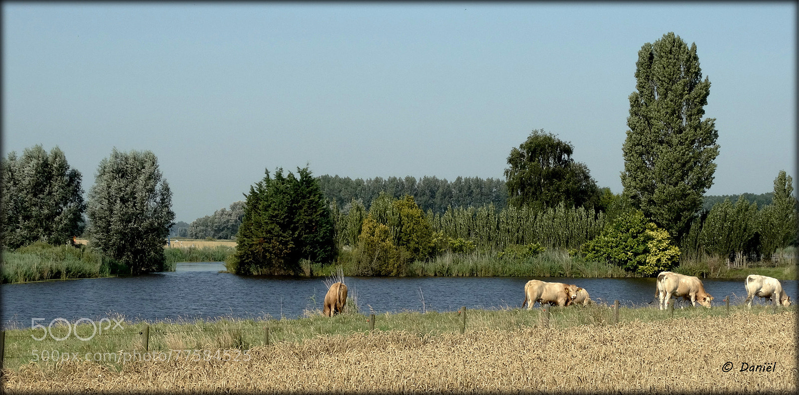 Sony Cyber-shot DSC-HX300 sample photo. Zeeuws vlaanderen ... .. . photography