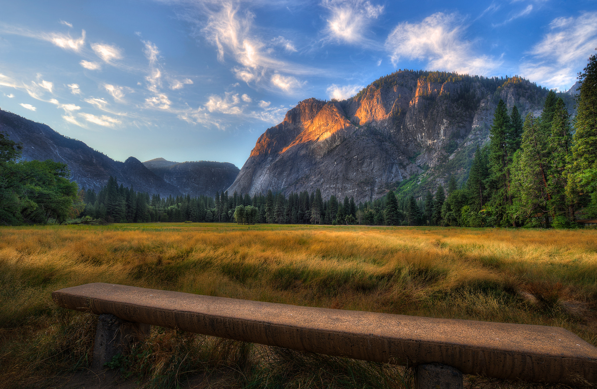 Overlooking the meadow in Yosemite