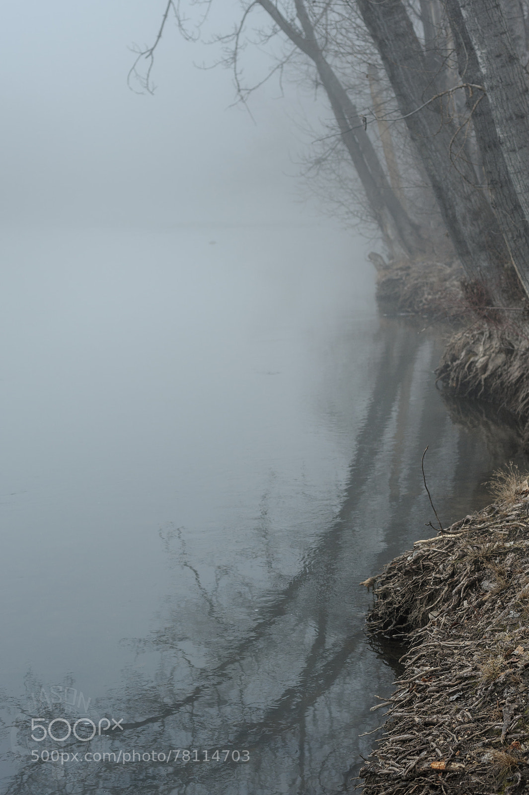 Nikon D700 sample photo. Eroding values photography