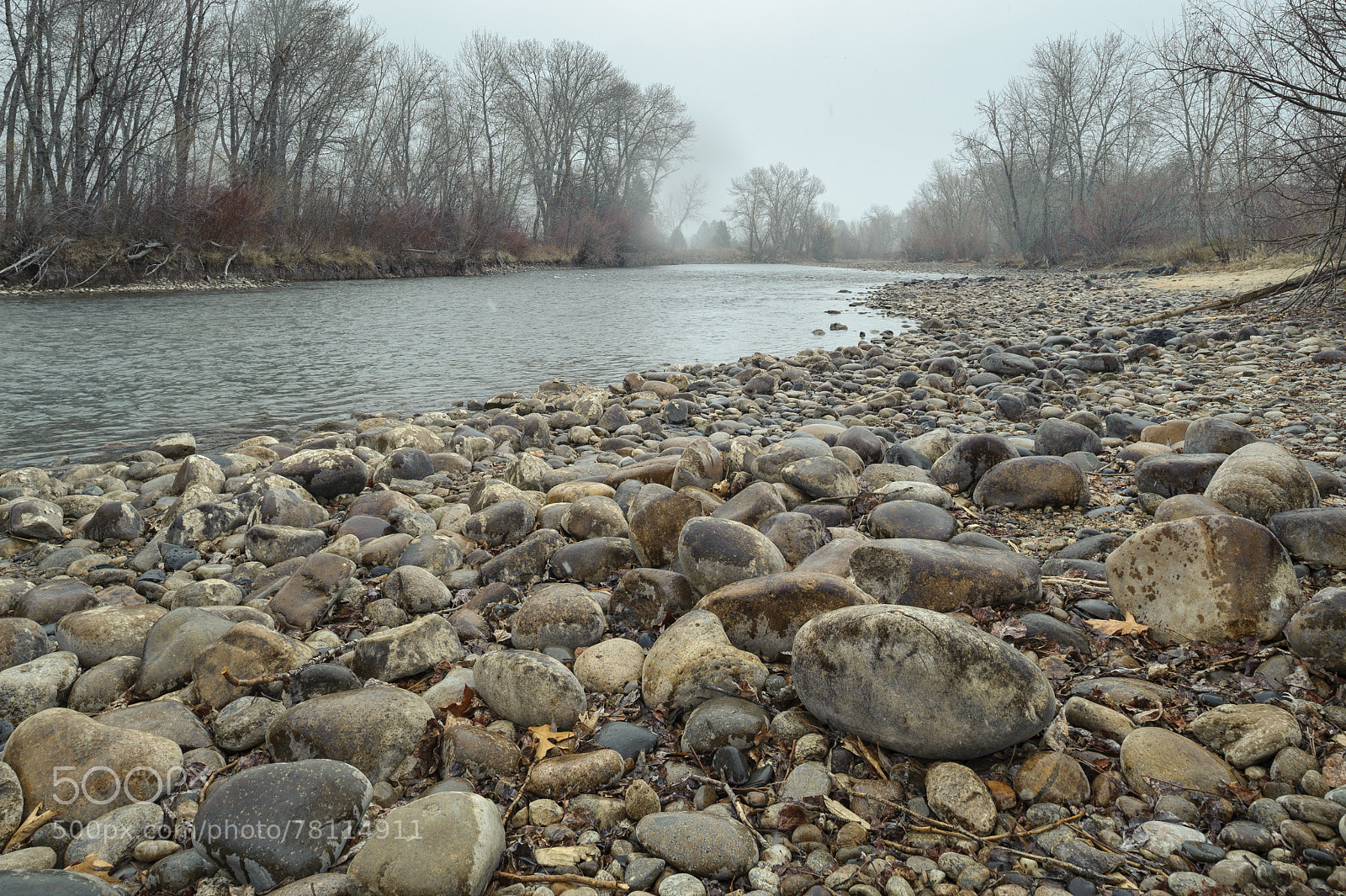 Nikon D700 sample photo. All alone photography