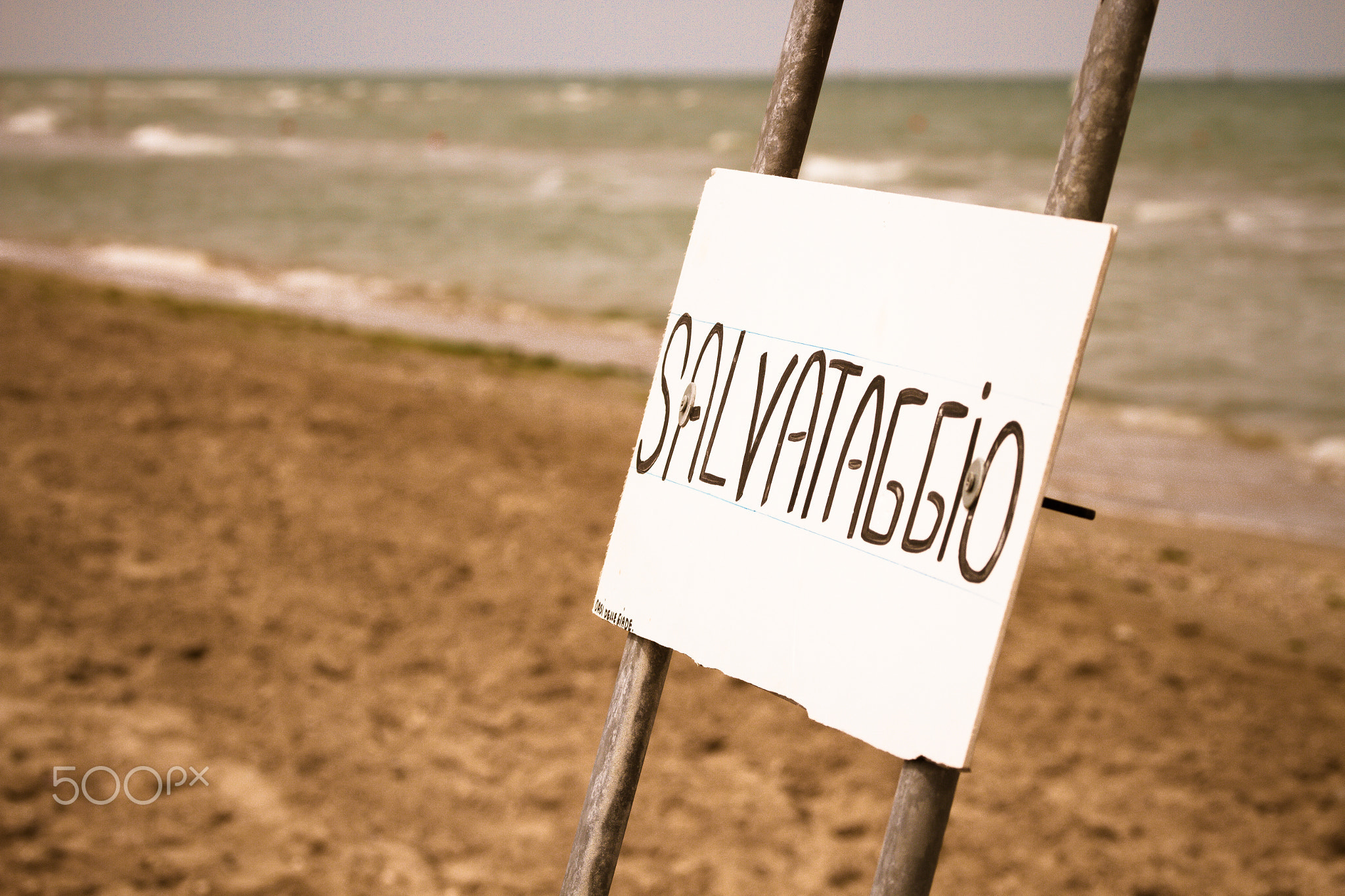 Lifeguard