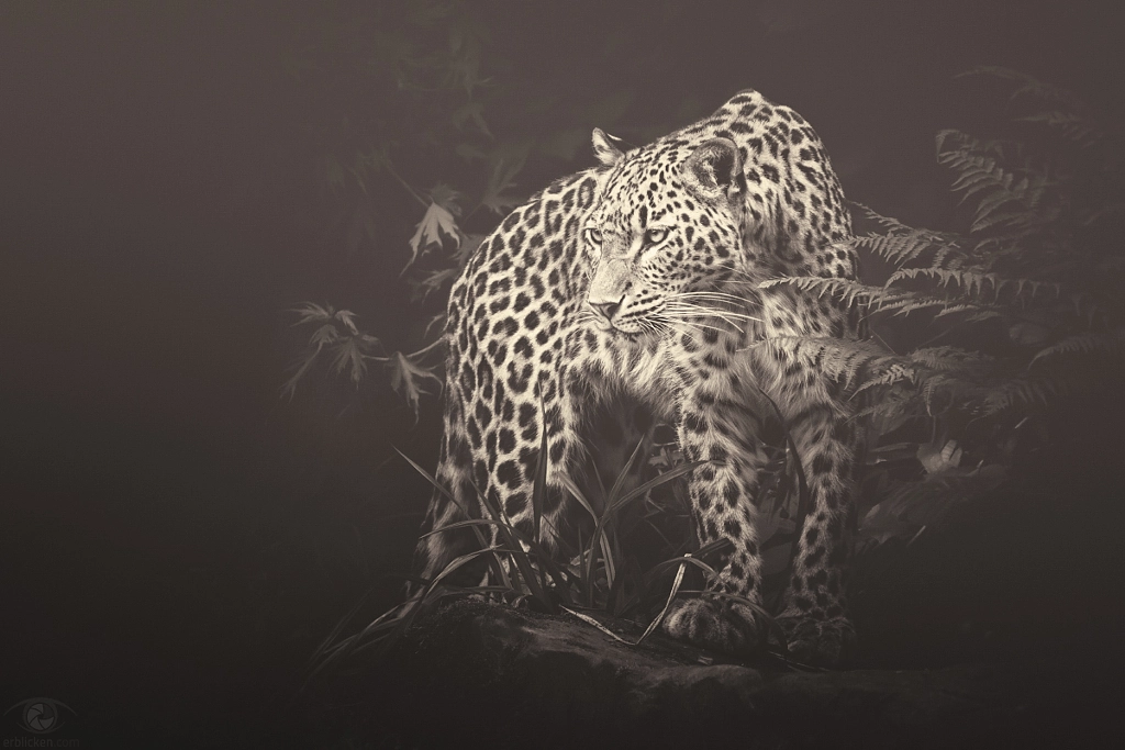 African souls: VII by Manuela Kulpa on 500px.com