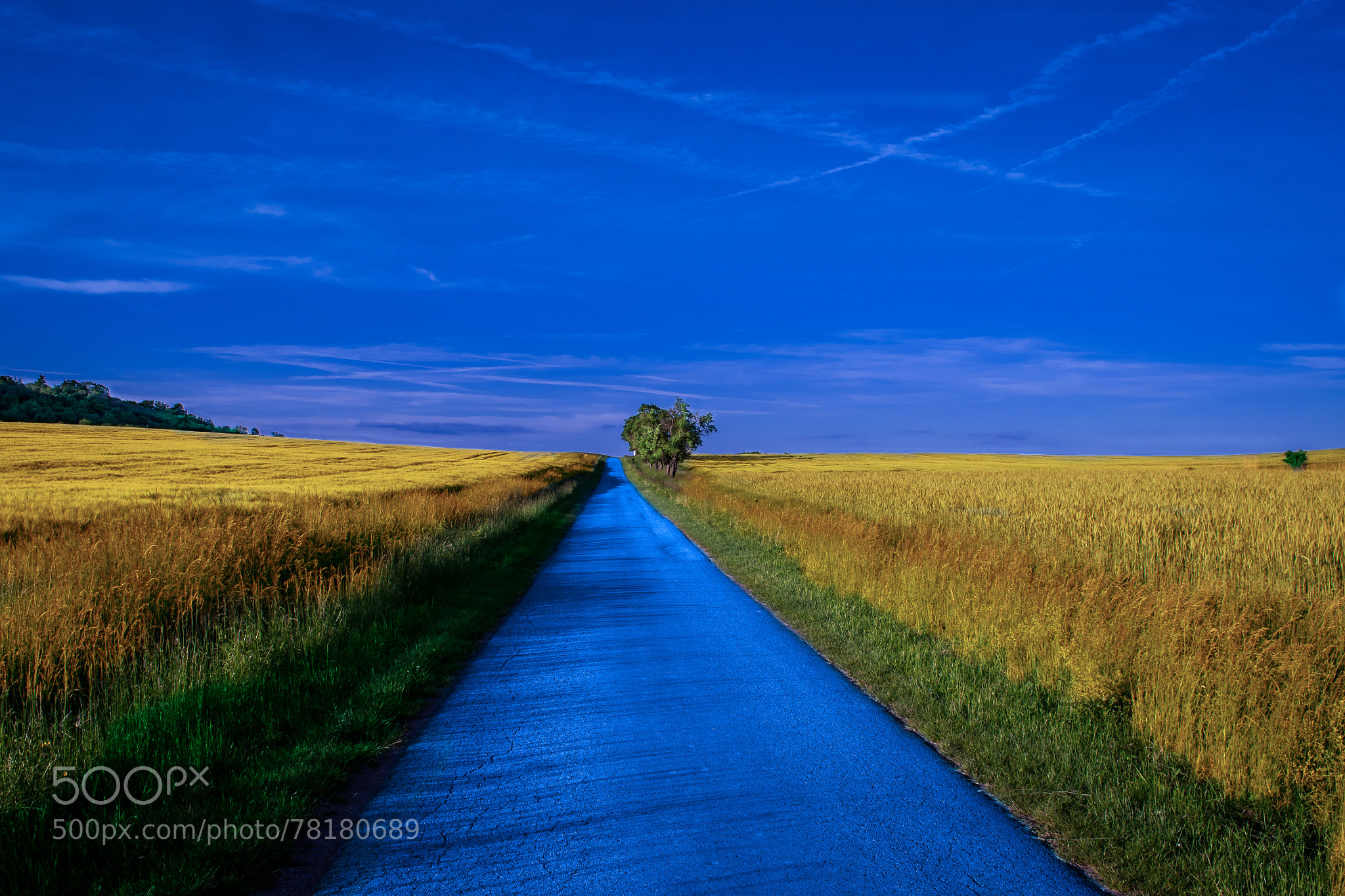 Blue Road 2