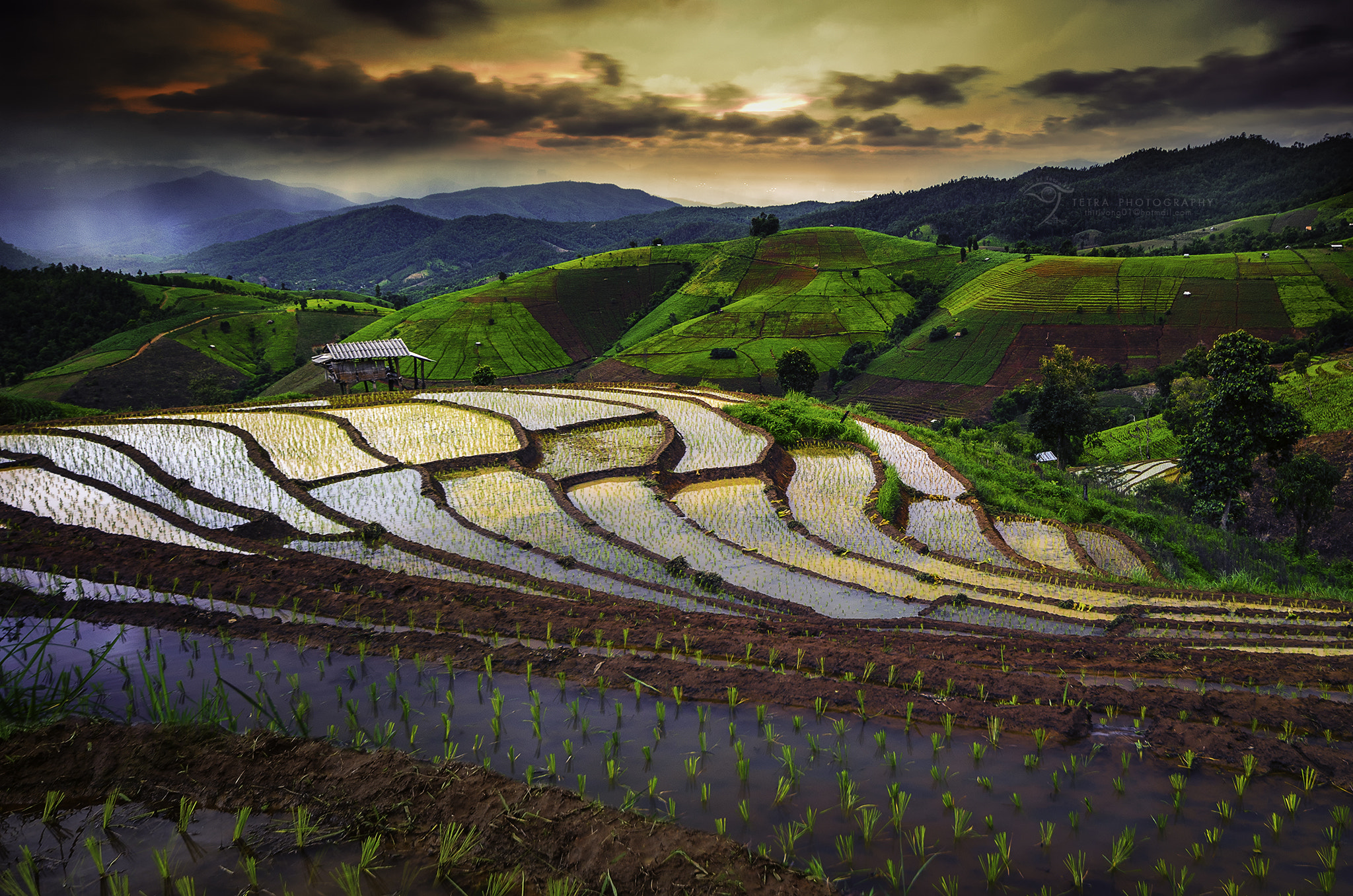 Rice Filed Of Terraces In Chiangmai By Tetra Photo 78203861 500px