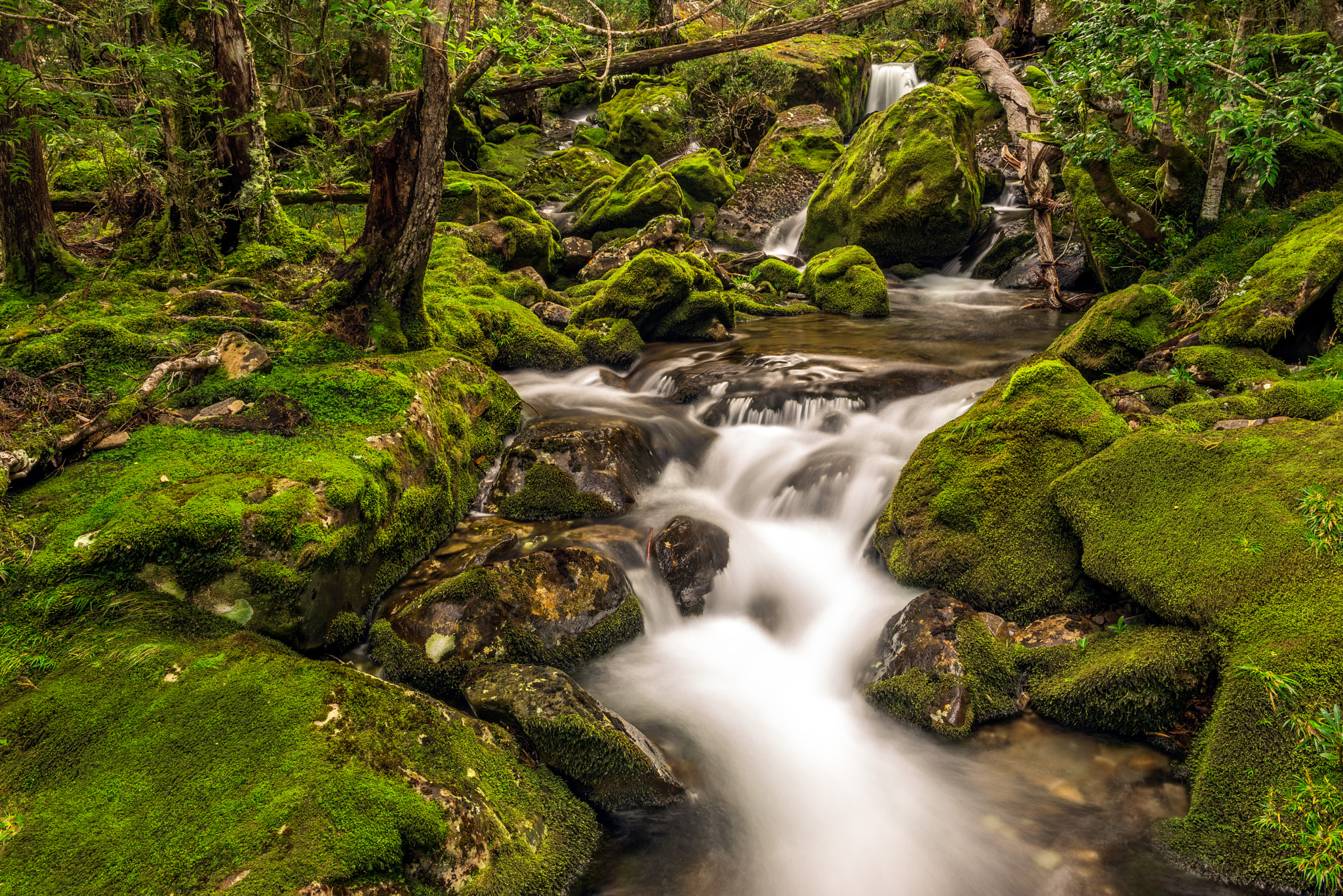 Mossy Cascades by Jamie Richey on 500px.com