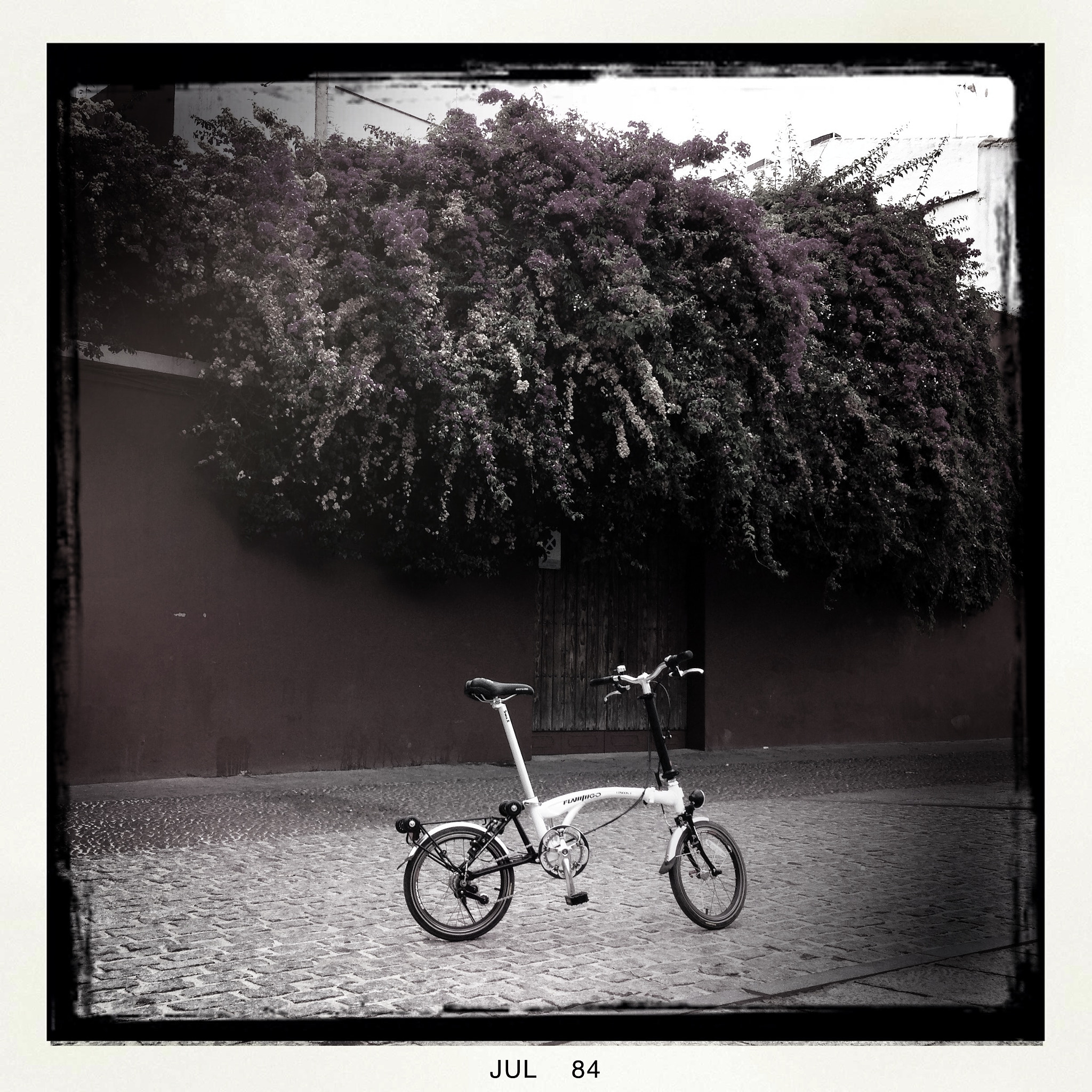 Hipstamatic 276 sample photo. Untitled photography