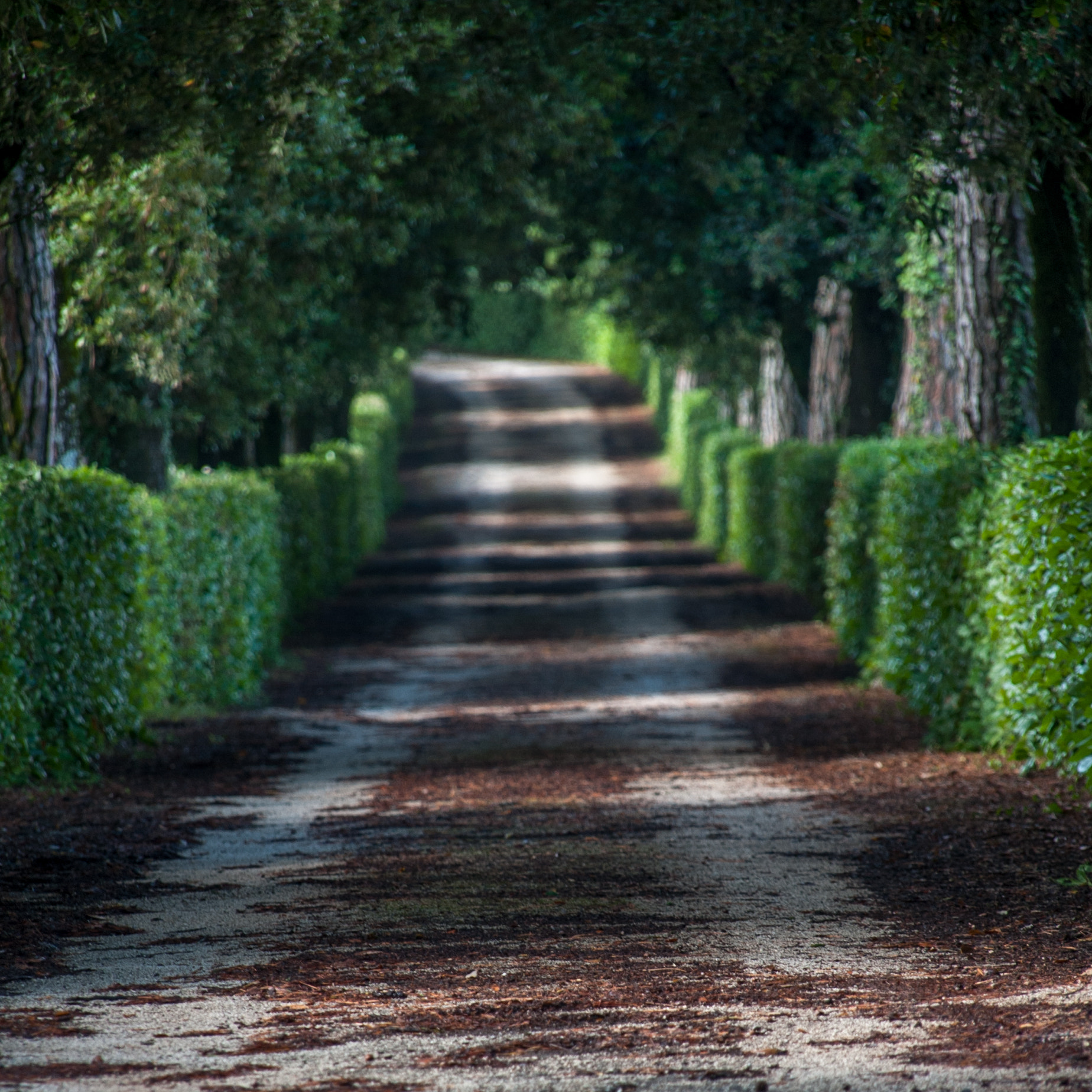 Sigma 18-200mm F3.5-6.3 DC OS HSM sample photo. The road to borgo mysteria photography