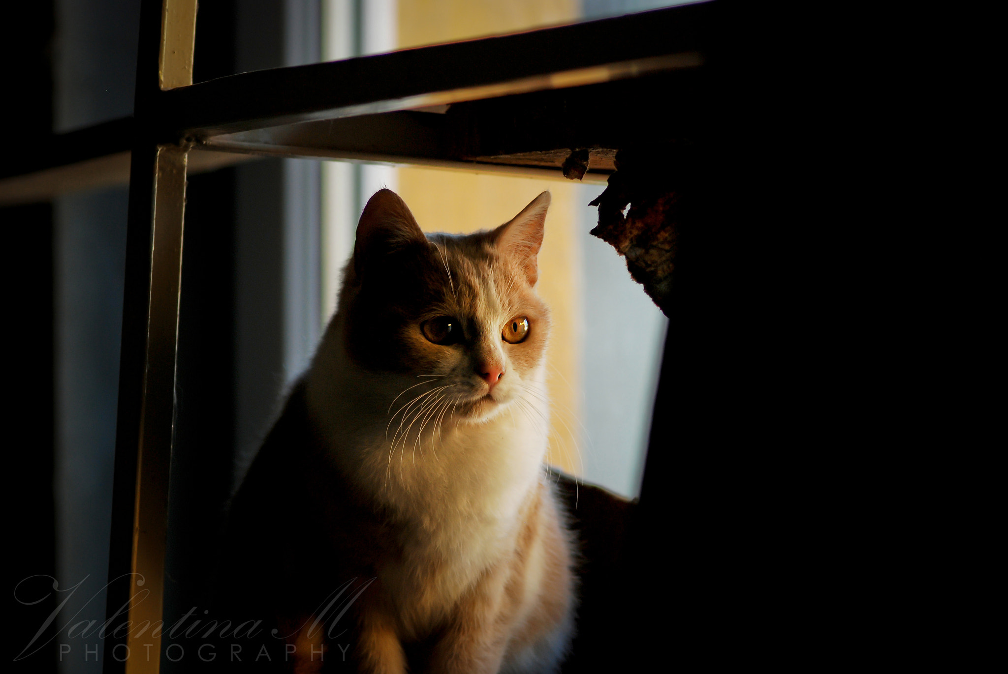 v2?sig=44d8256efcad4b319c91f989809088f153e2bea2a4ee89961ffa788b4c417bb5