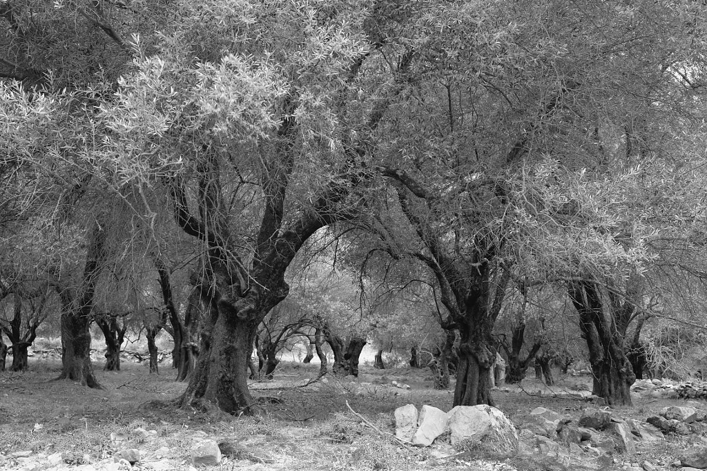 Millia Mountain Ressort, Crete by Wolfgang Werner on 500px.com