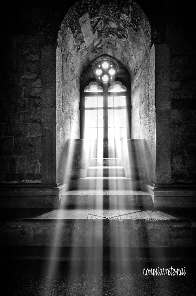 Imago In Lucem by Enzo Tarallo on 500px.com