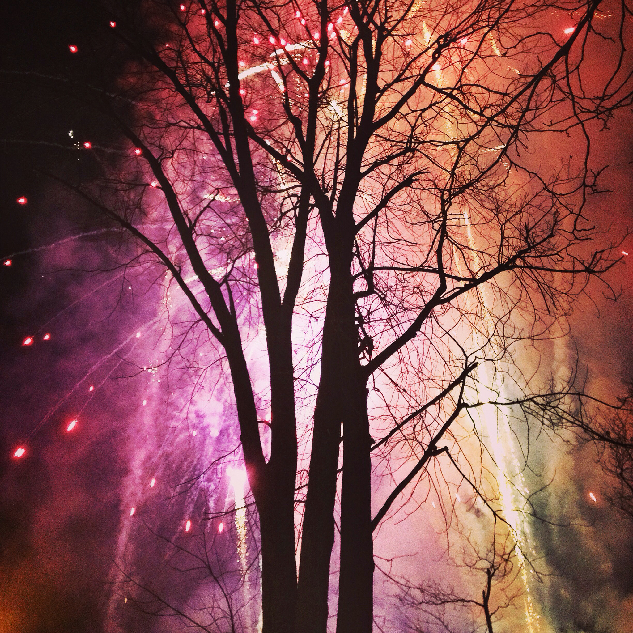 Firework Tree