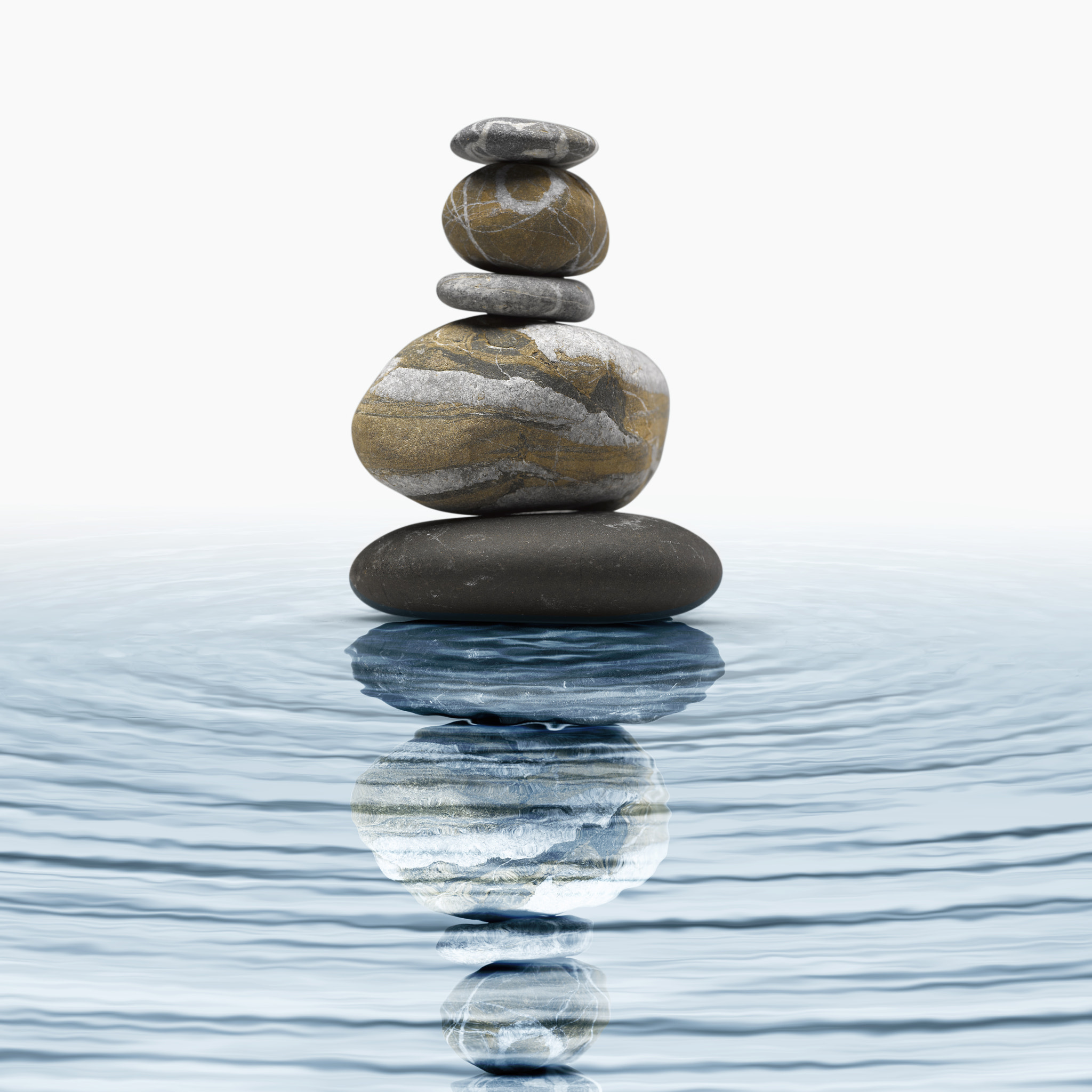 v2?sig=3b2554253ef46d7a81488ed215a064ddf