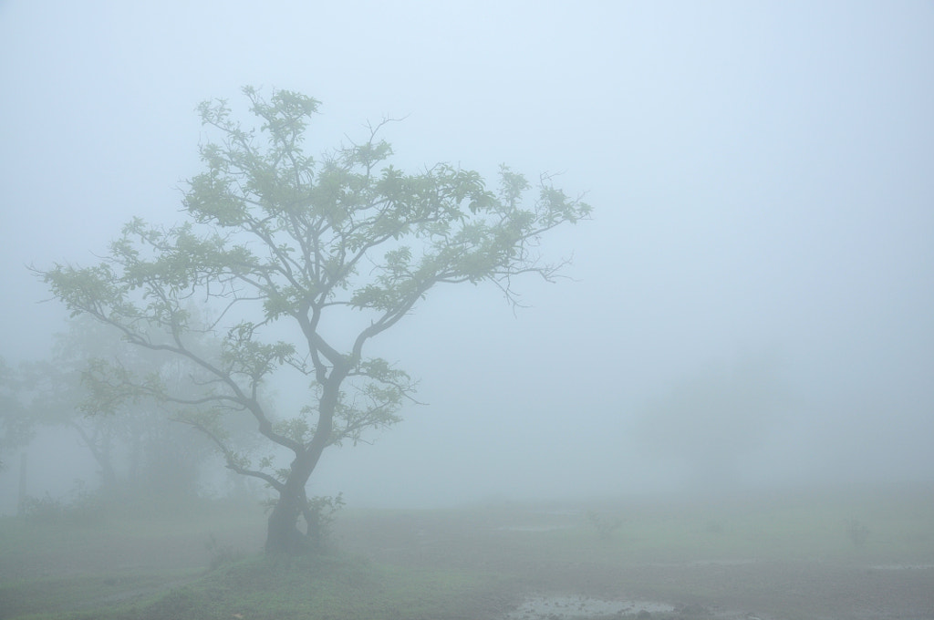 Lost Into.......... by Akash Pawar on 500px.com
