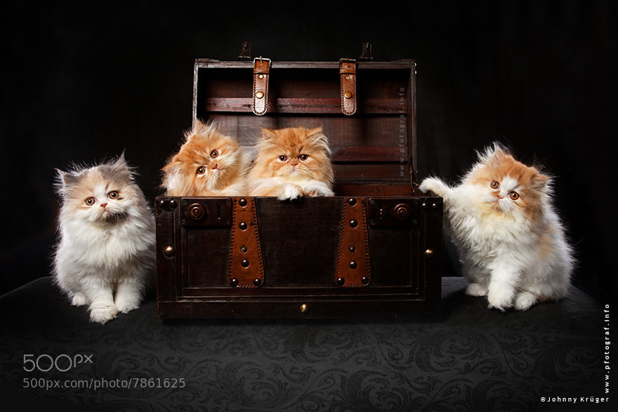 Precious Moments by Johnny Krüger
