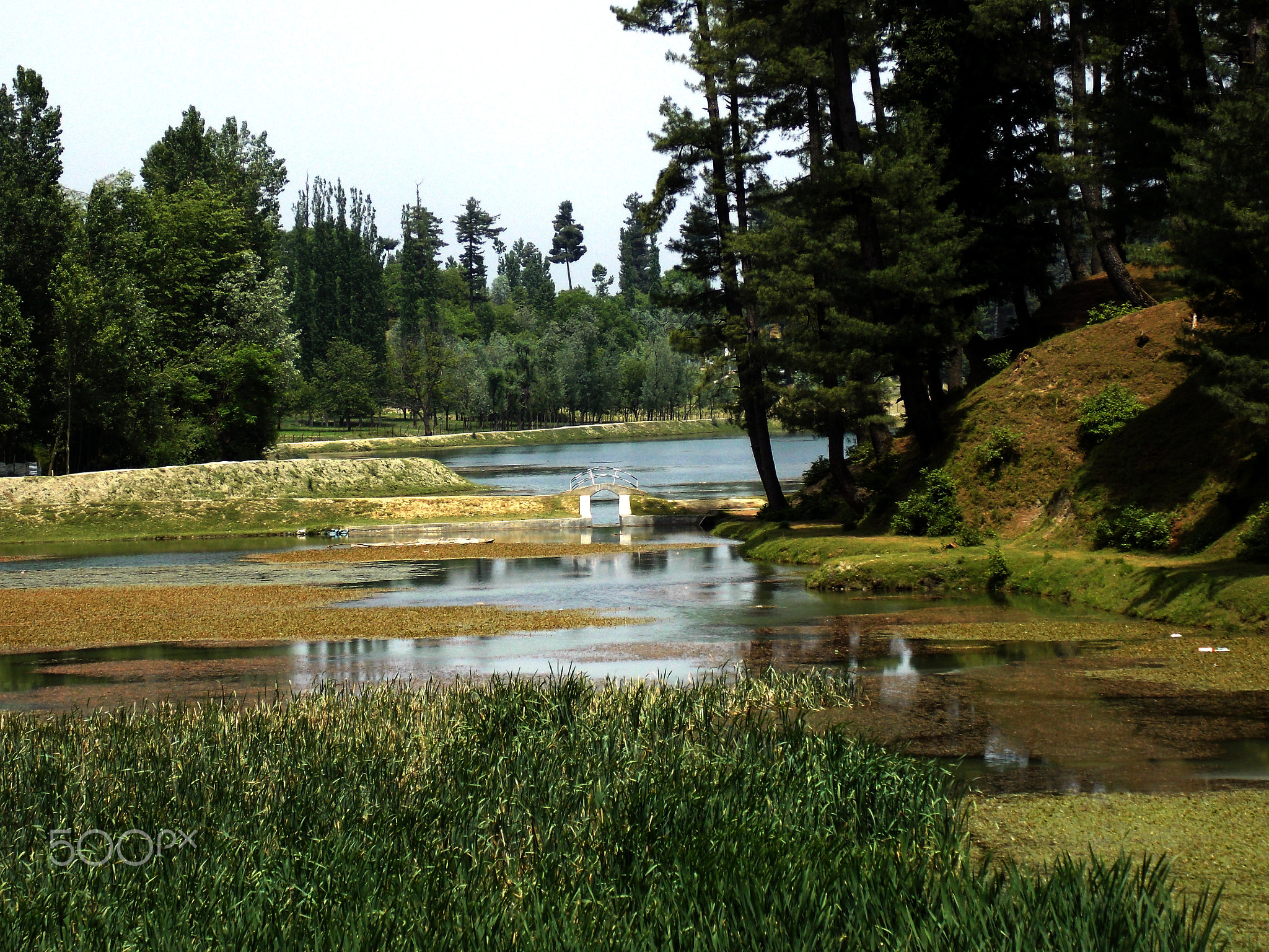 Gifted Lake