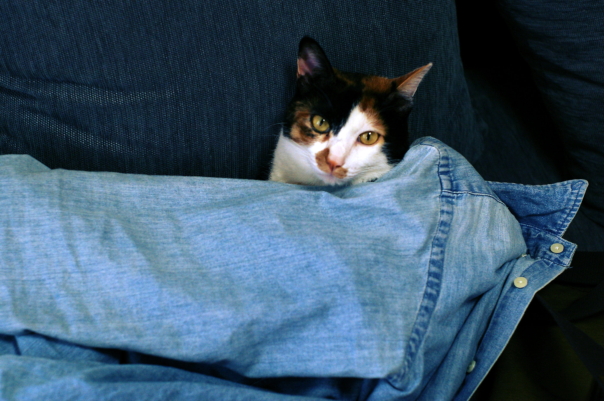 v2?sig=444802fbabceedb0e9dee5427ba618100b332d6bdebf71cc7c8311d712c9db91