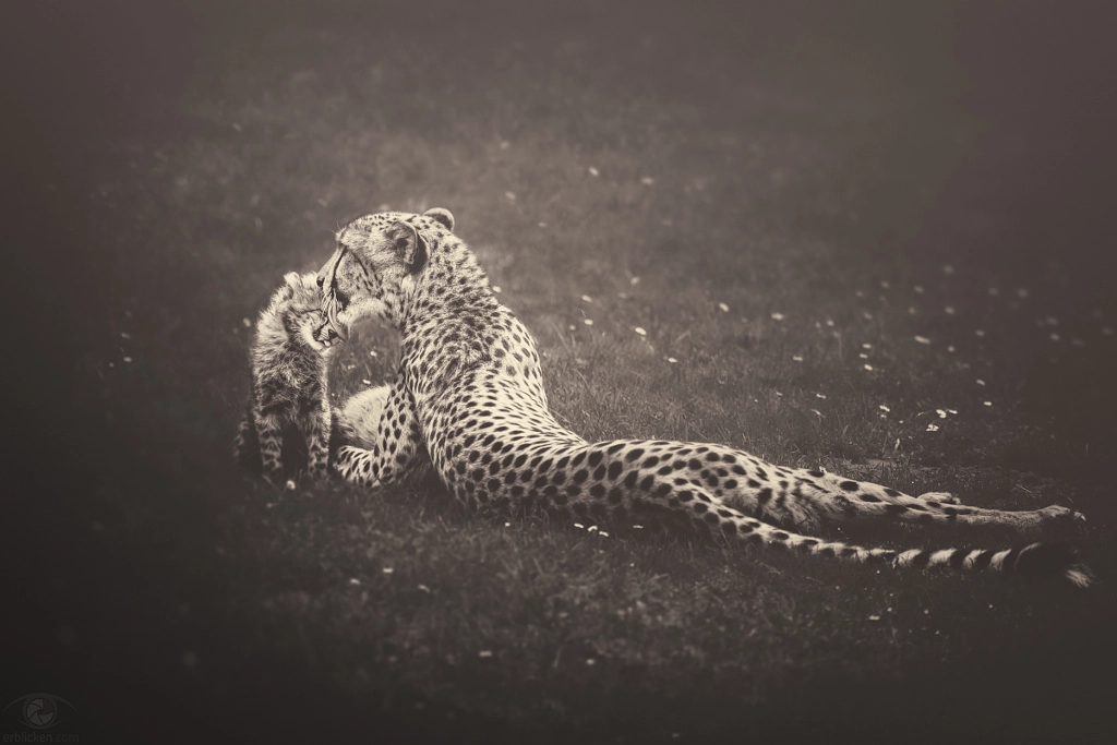 African souls: VIII by Manuela Kulpa on 500px.com