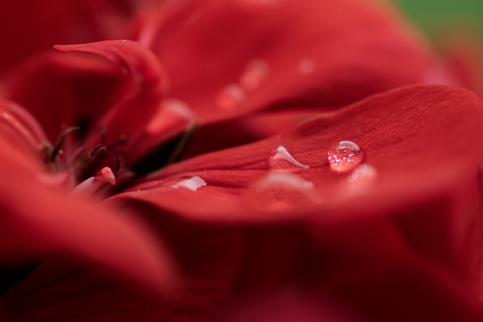 v2?sig=29218f9ab6906bb90785d9c511c95eee825ef4936ae03d3dd6de19697a3a121f