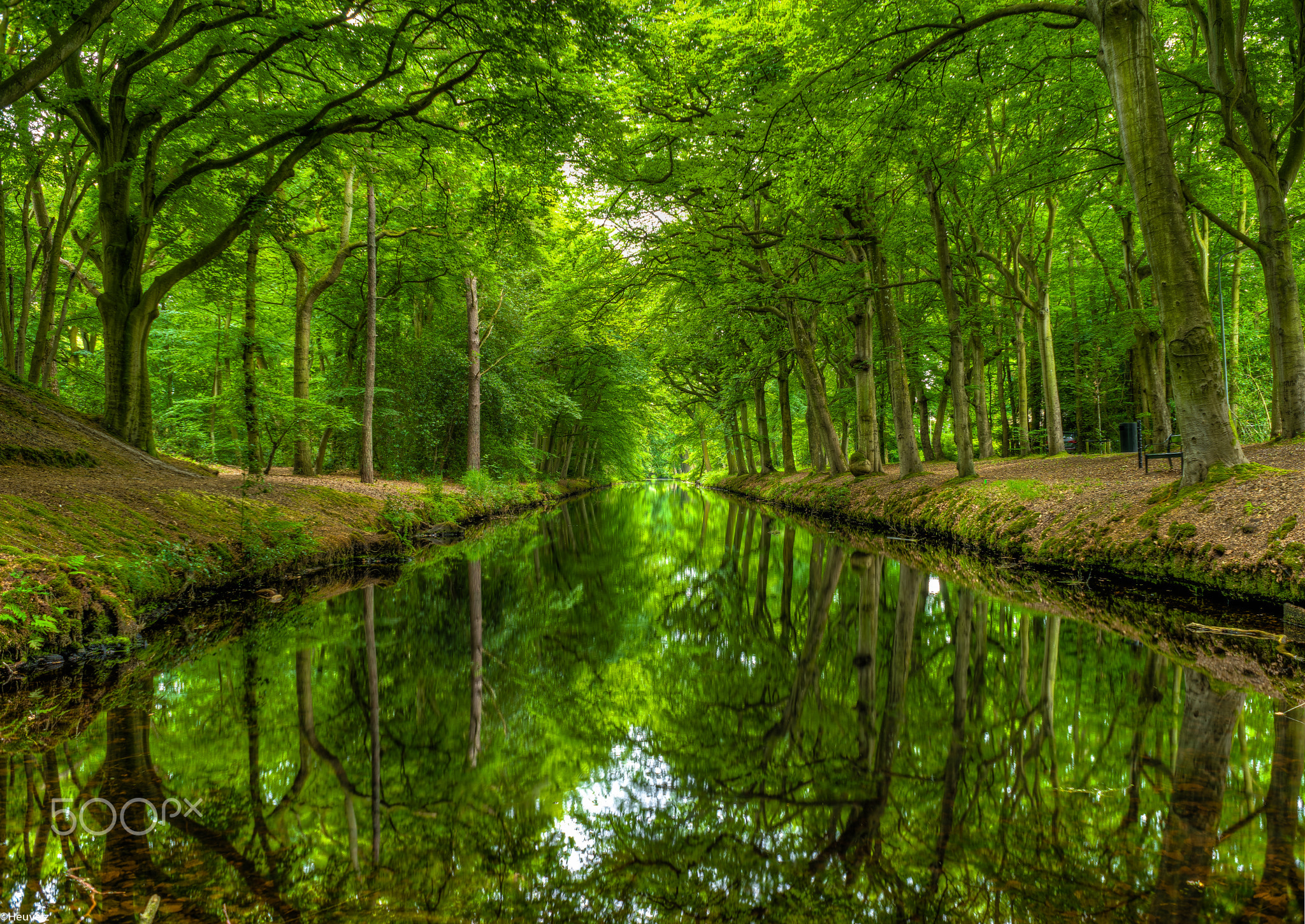 Water Reflection