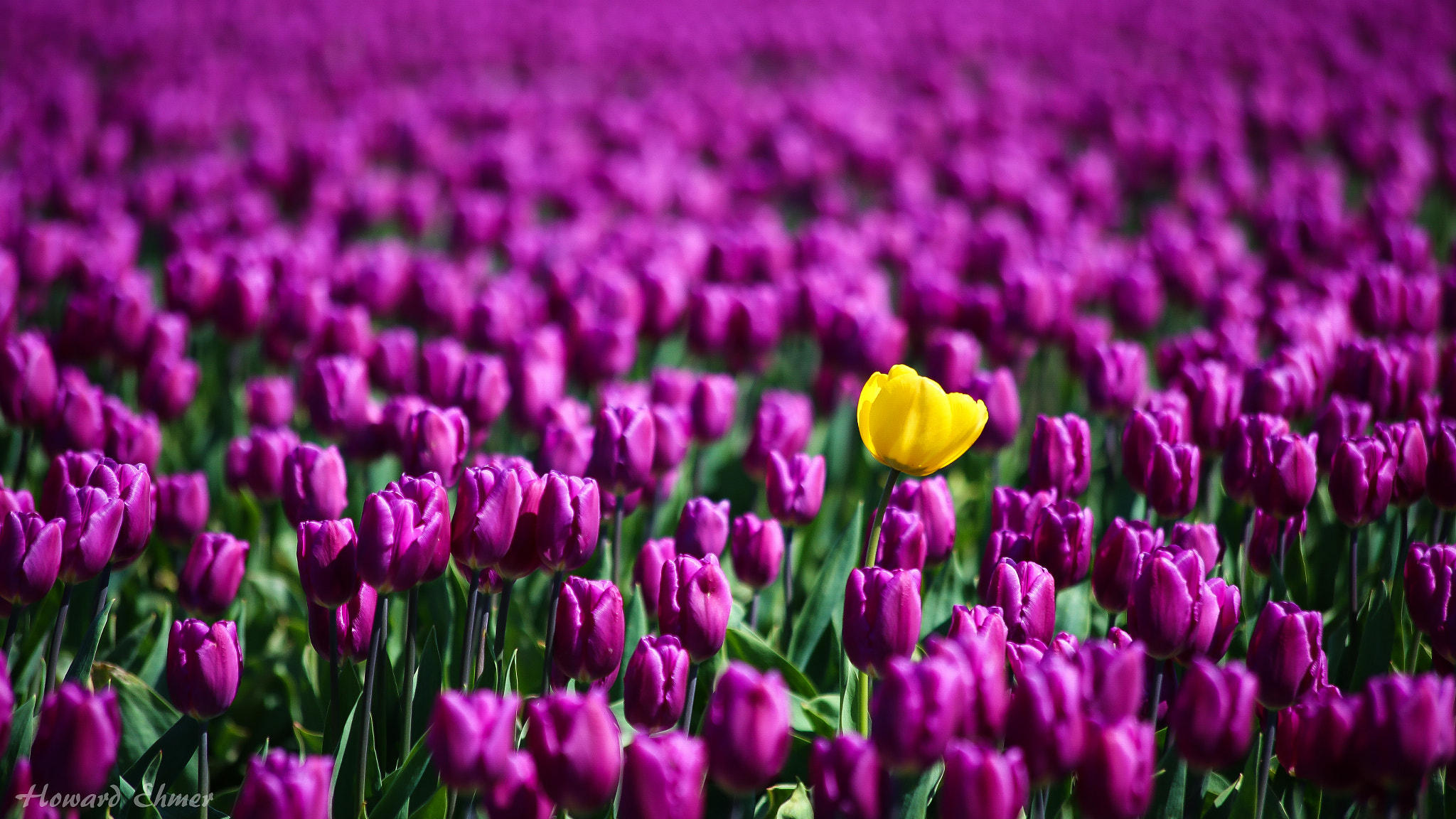 Be Different
