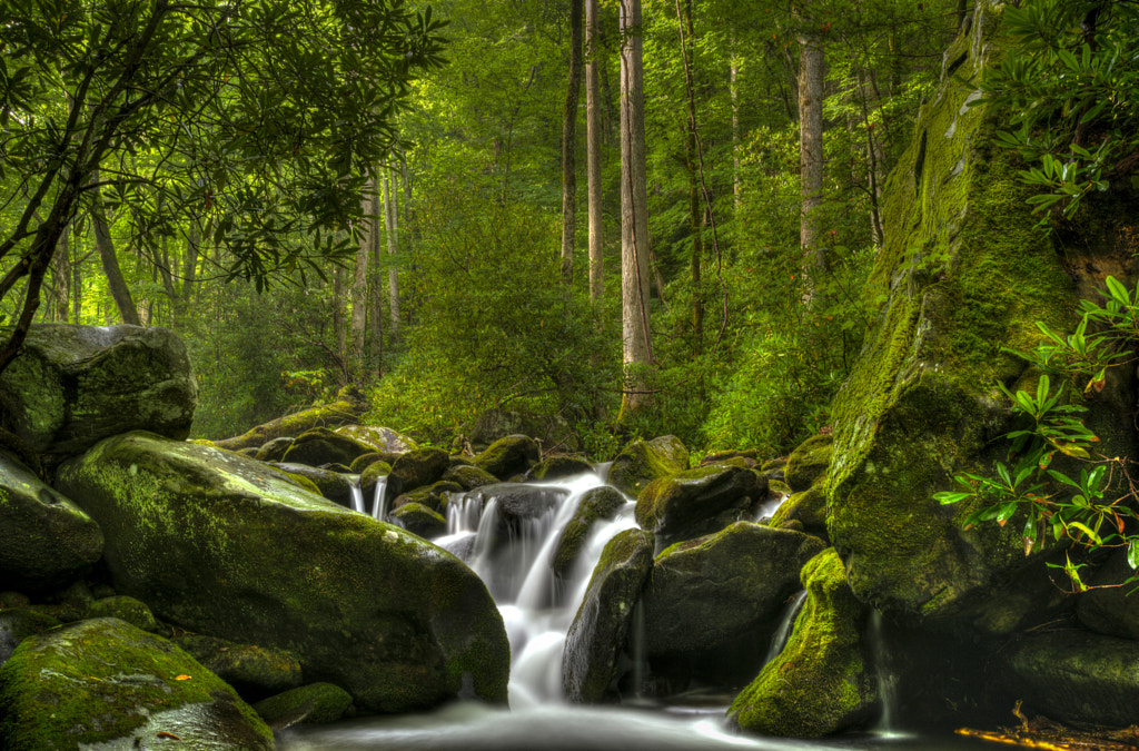 RFWF by Greg LeMaster on 500px.com