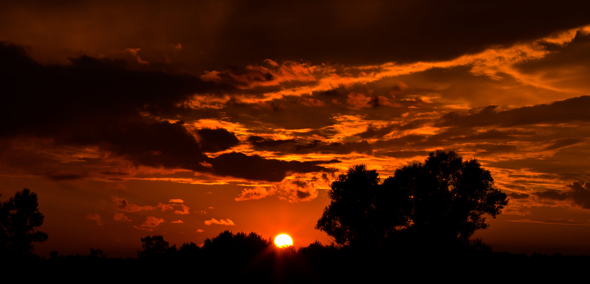 v2?sig=e9357c0c331108773d4a6ef5d3f56f0b19d8c764492cd3c5b35d38f25cf66a86