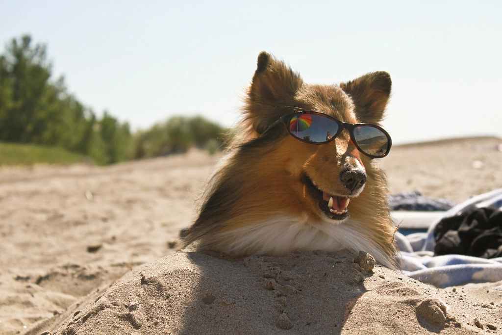 Beach bum by carrianne P on 500px.com