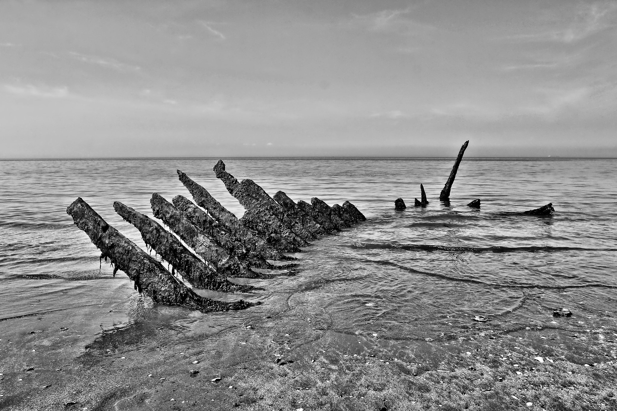 Skeleton Boat B/W