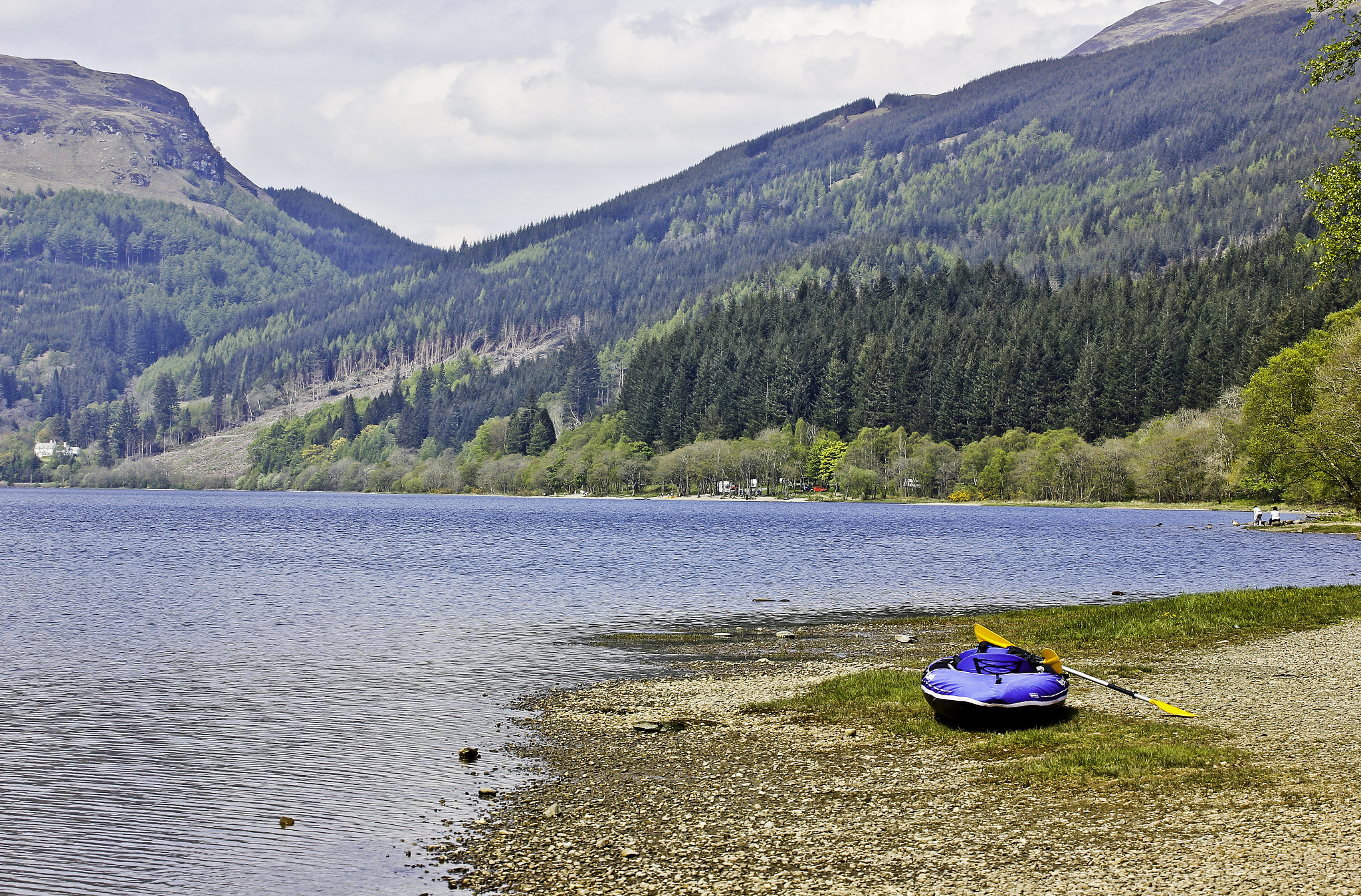 quality online football