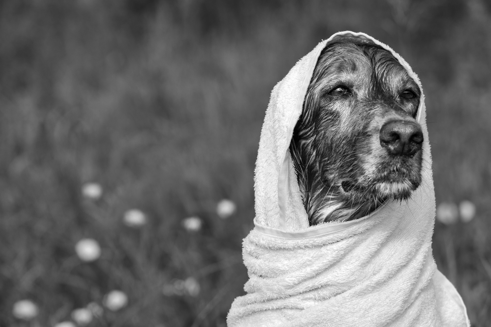 v2?sig=4190c4e7c800814a20de8744902bc52d0