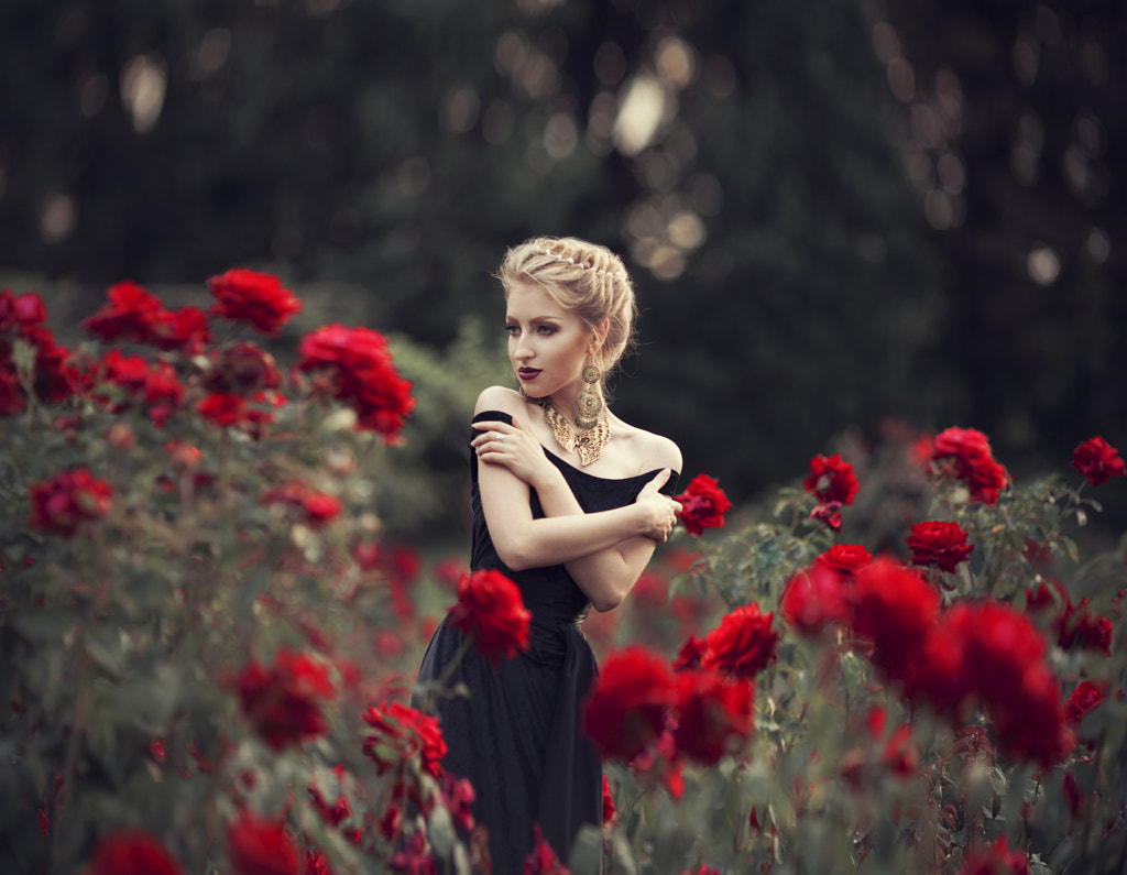 roses by Maryna Khomenko on 500px