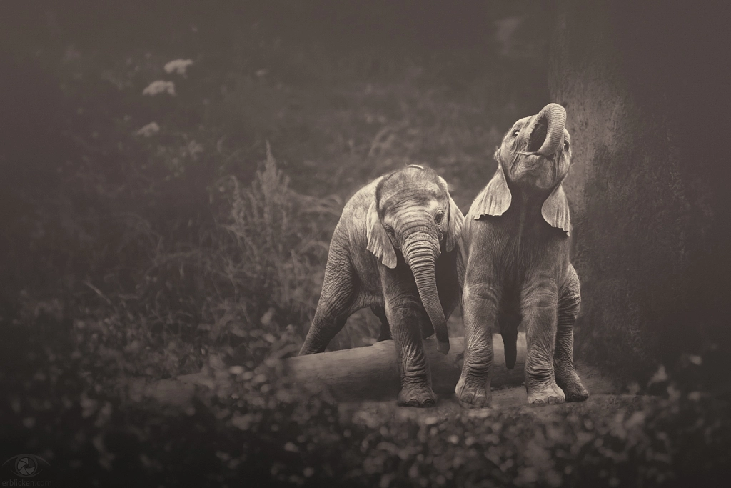 African souls: X by Manuela Kulpa on 500px.com