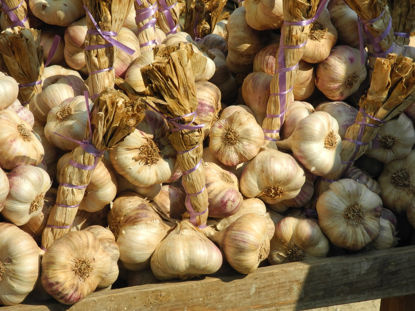 Ail au marché