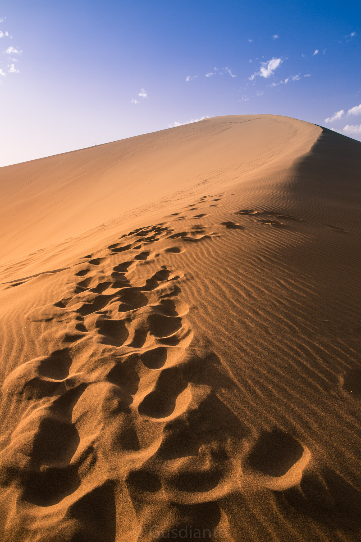 Footsteps in the desert