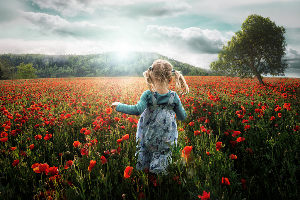 Into the Poppies by John Wilhelm is a photoholic on 500px.com