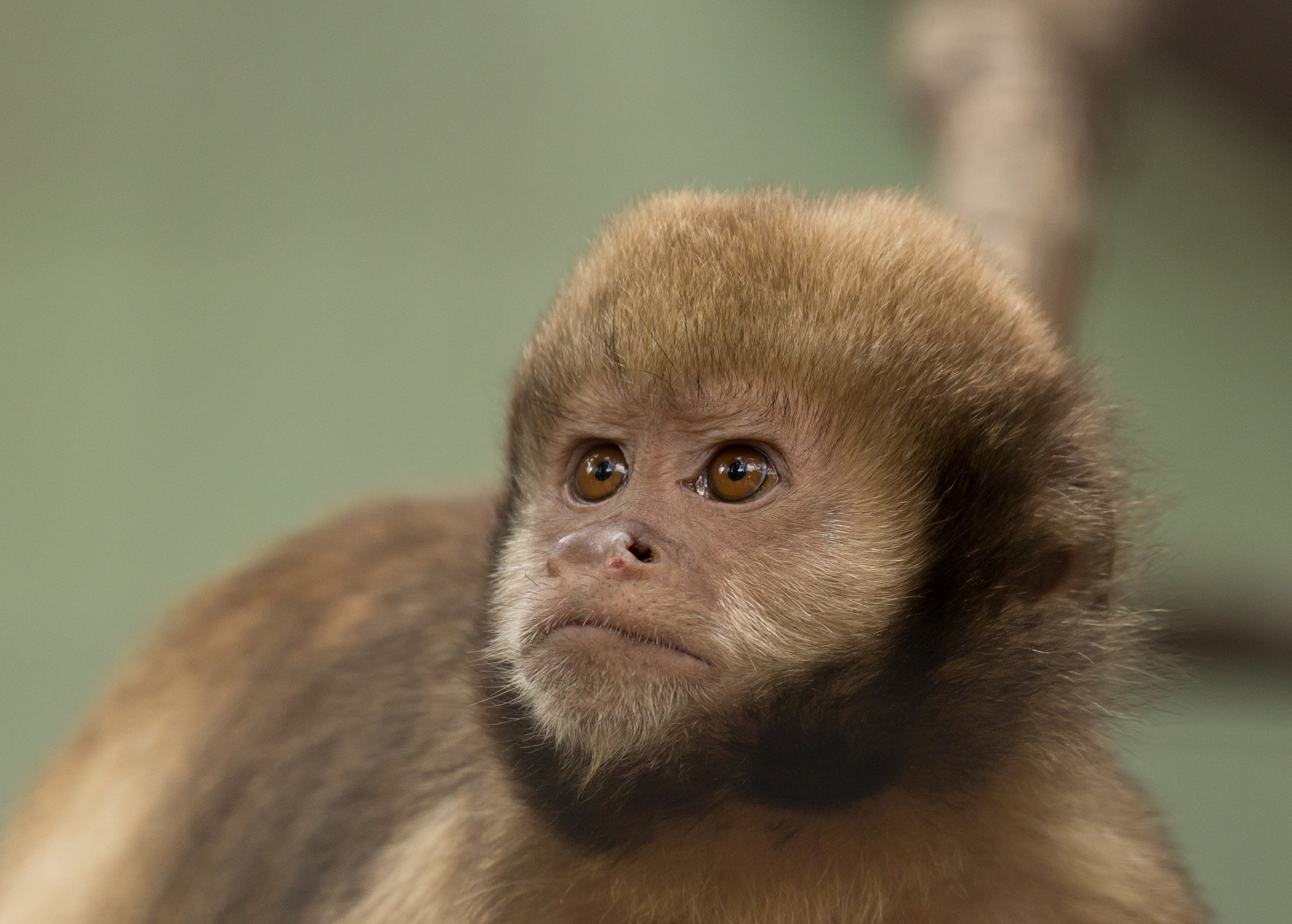 v2?sig=ebc6b92ce5933d089565be5cdbfc137d6