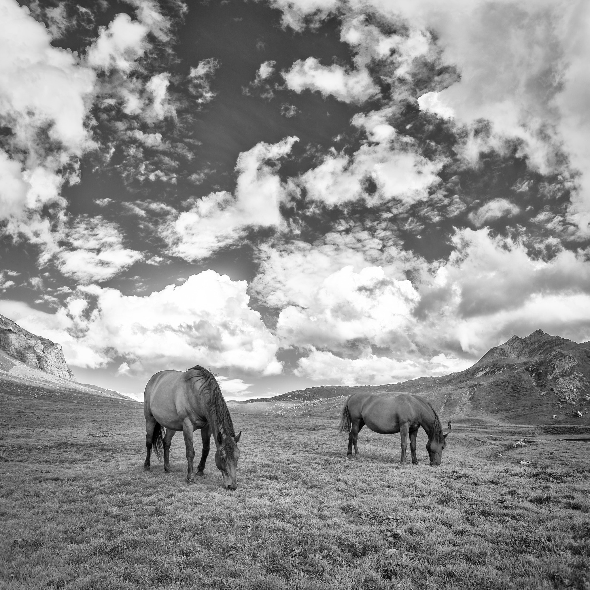 v2?sig=8769686ad11d7801841c3ae6f8ed4c66a86bc7a0aa6e349cdbc971836174e73e