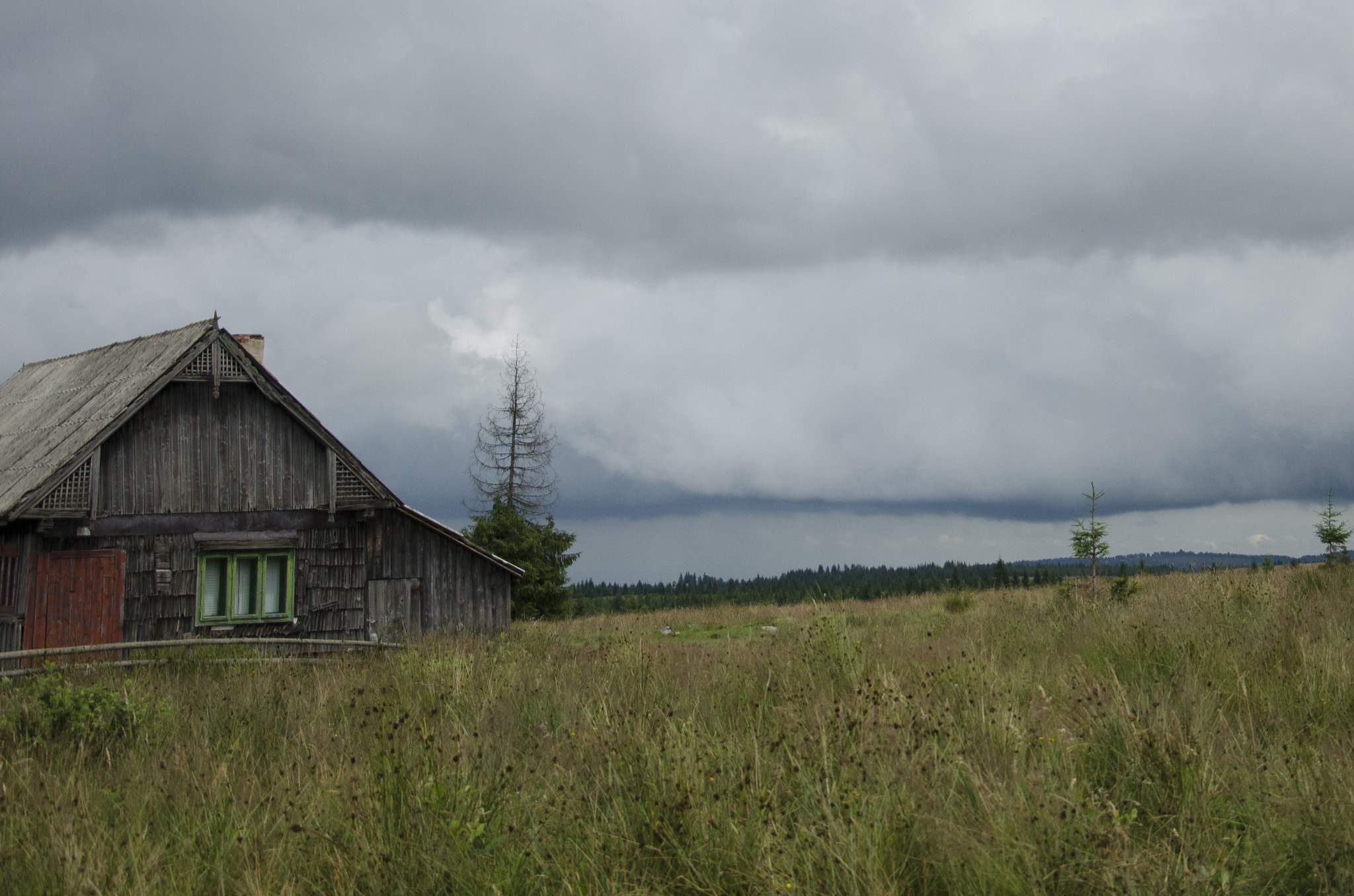 The old farm with green window