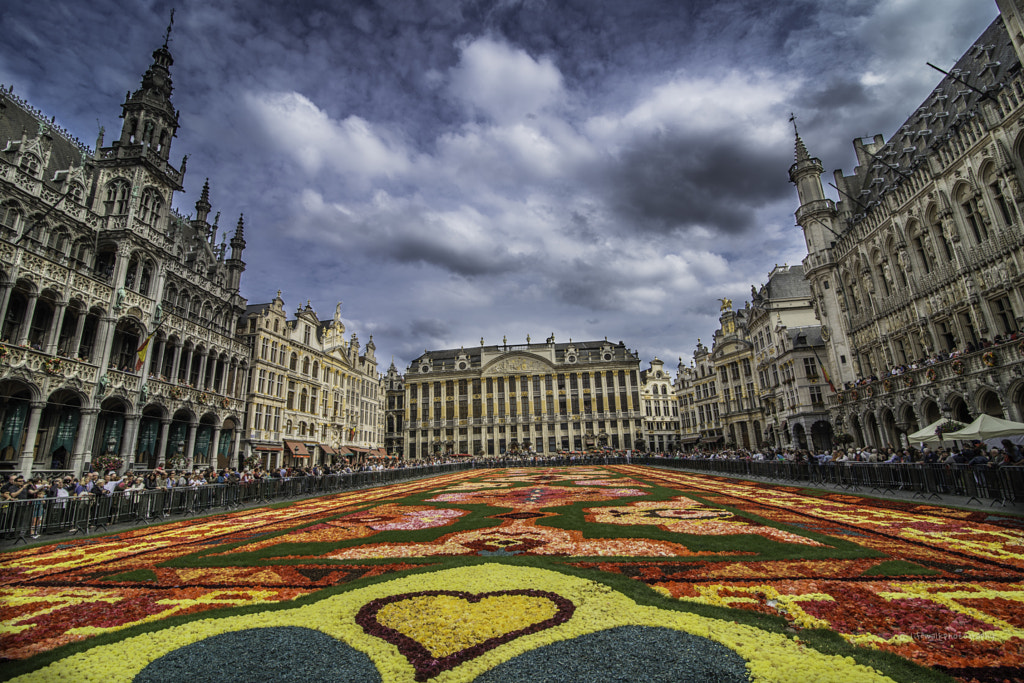 Photograph Brussels flower carpet by Shain & Ajay  on 500px