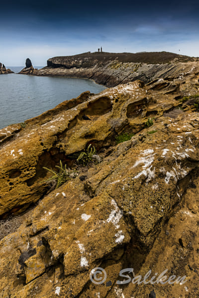 Los bombardeos de las gaviotas, Columbretes by Santiago  Vidal Bort on 500px.com
