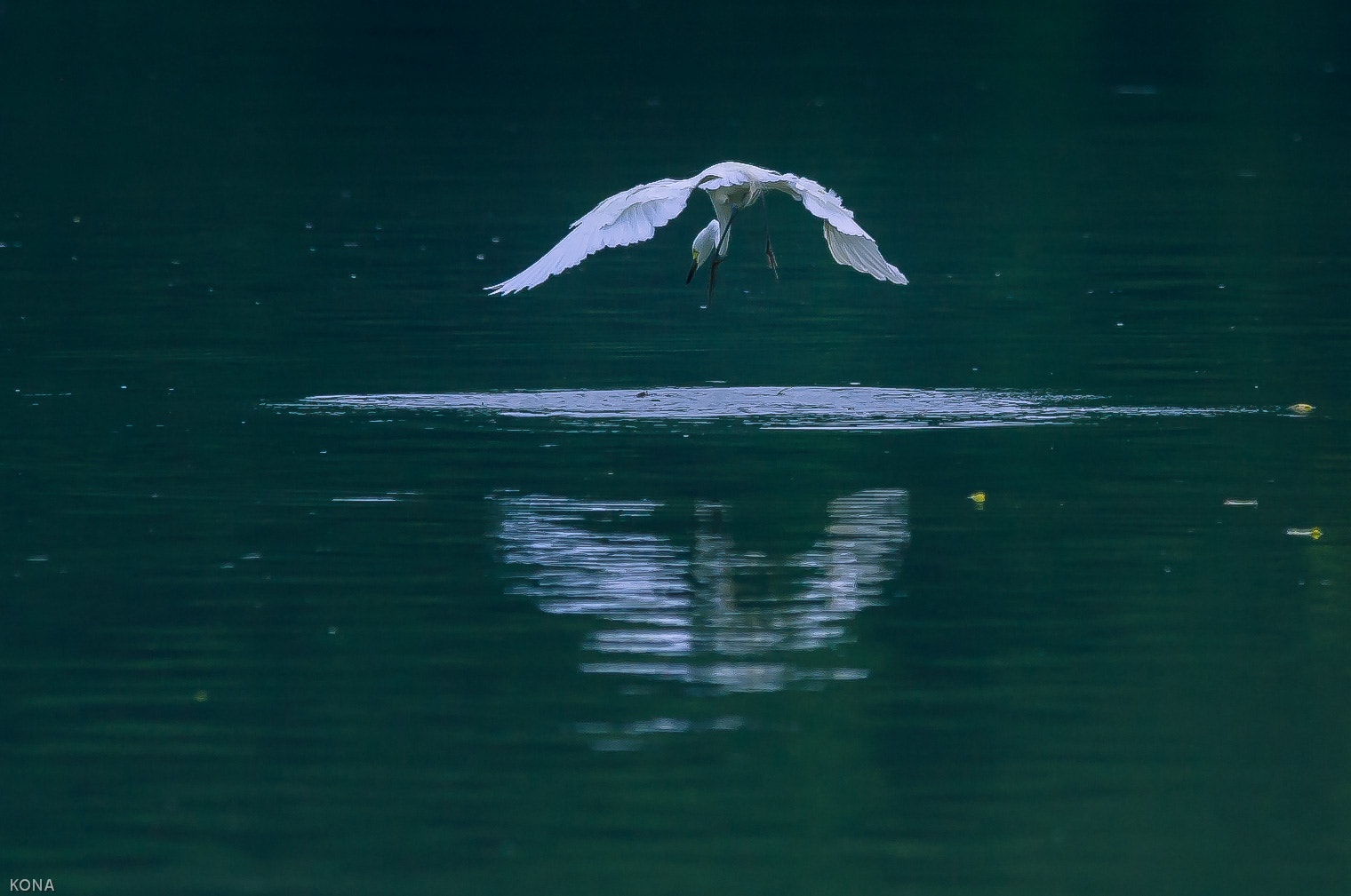 Nikon AF-S Nikkor 400mm F2.8G ED VR II sample photo. Sagi photography