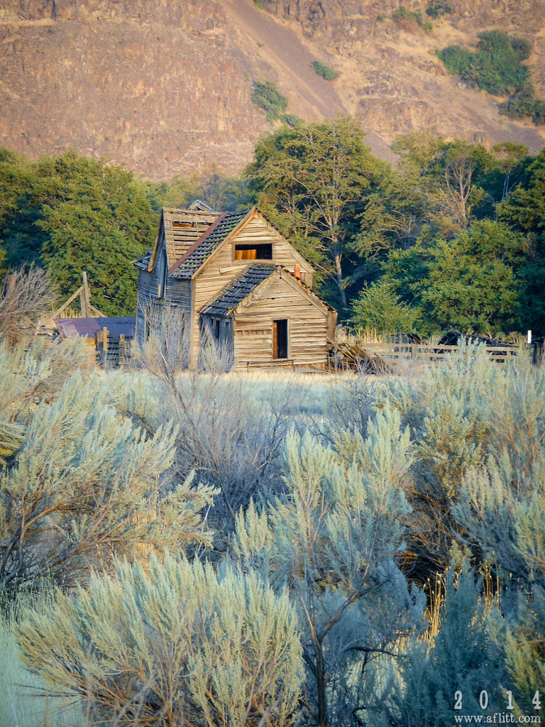 Harris Homestead House and Sagebrush, 2014 by A. F. Litt on 500px.com