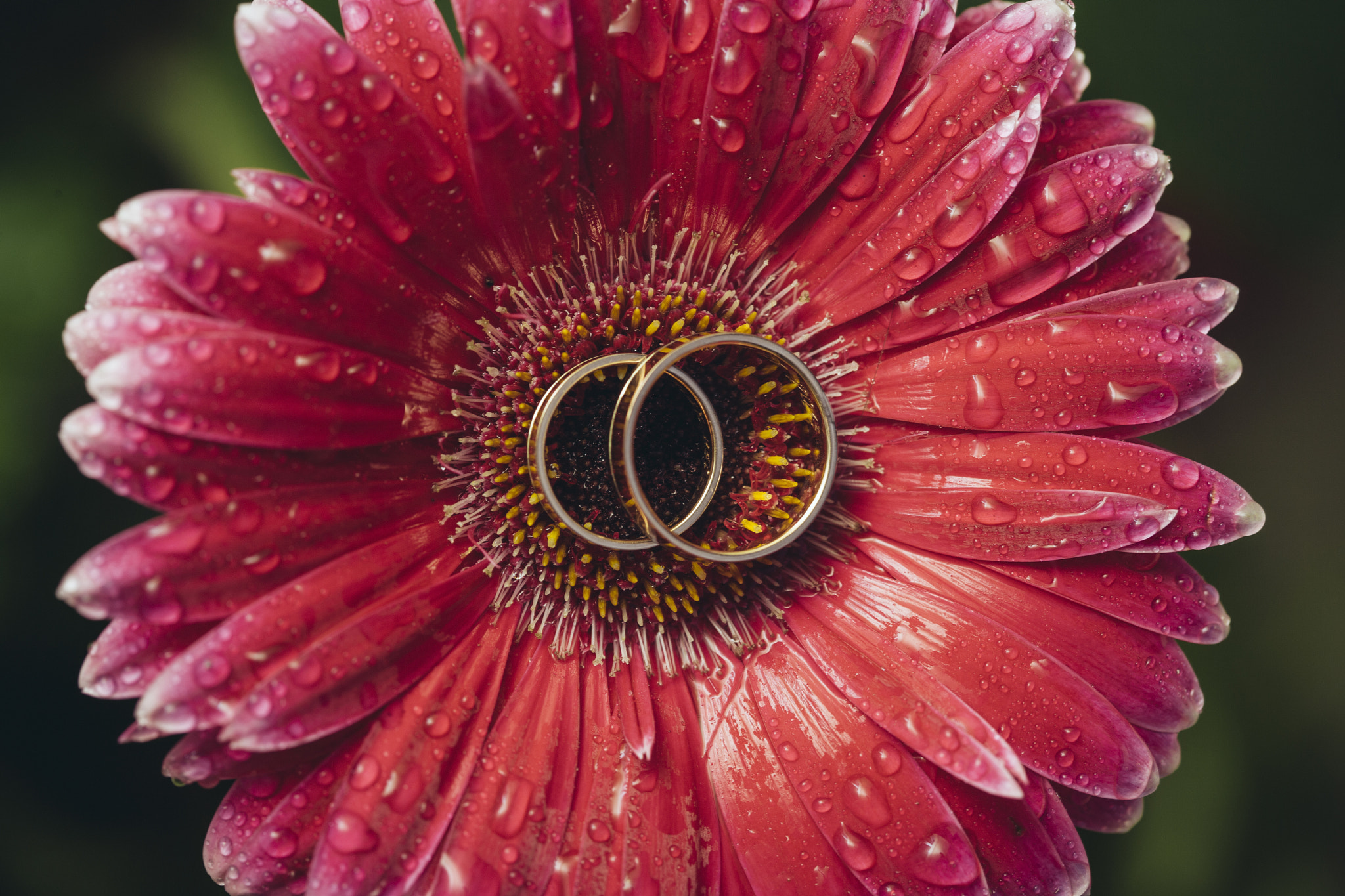 v2?sig=b1592bbdeac0b2fb438a5eb3af13371c864aa6c7557e1c65bda5740890686fdc