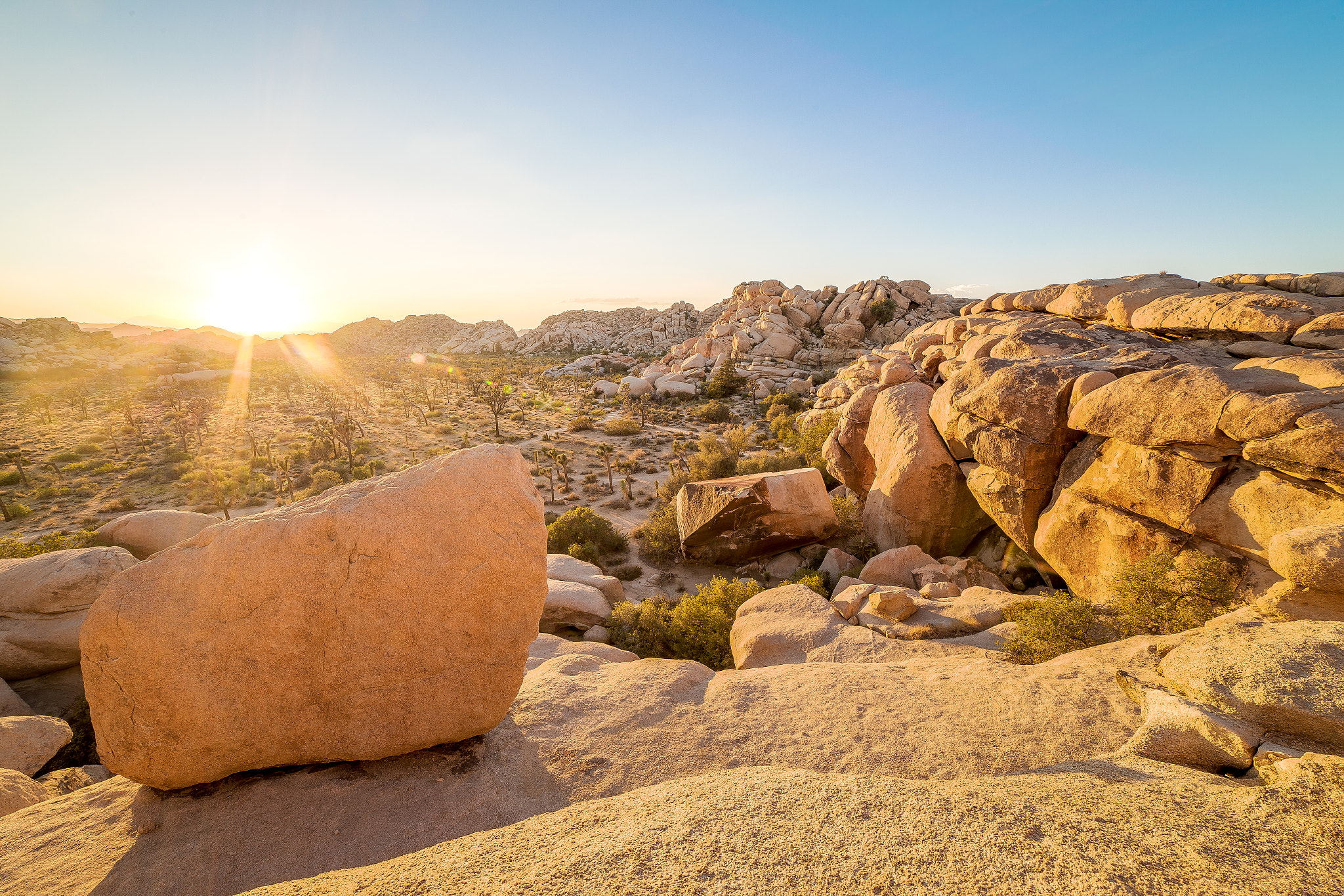 Joshua Tree National Park