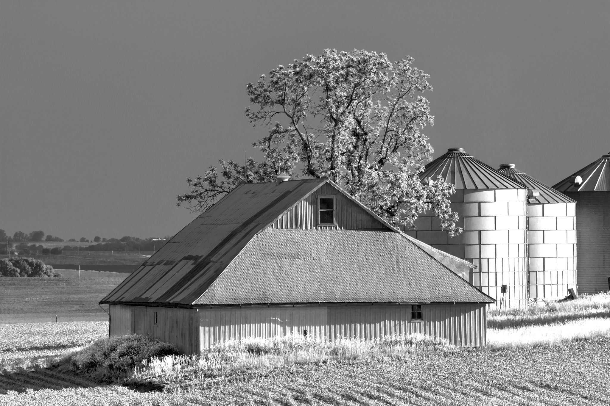 2014 May Evening on the Barn No 1 BW-01