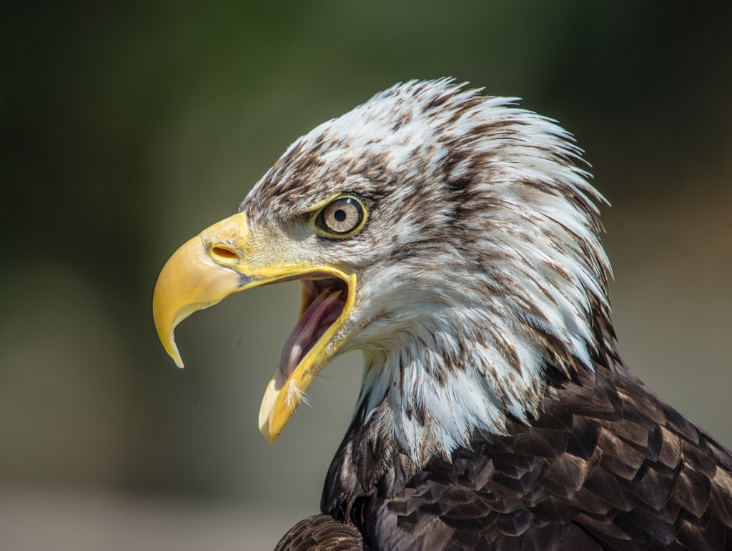 Untitled by Randy Rimland / 500px